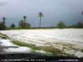 Granizada en La Partida de Algoros Elche